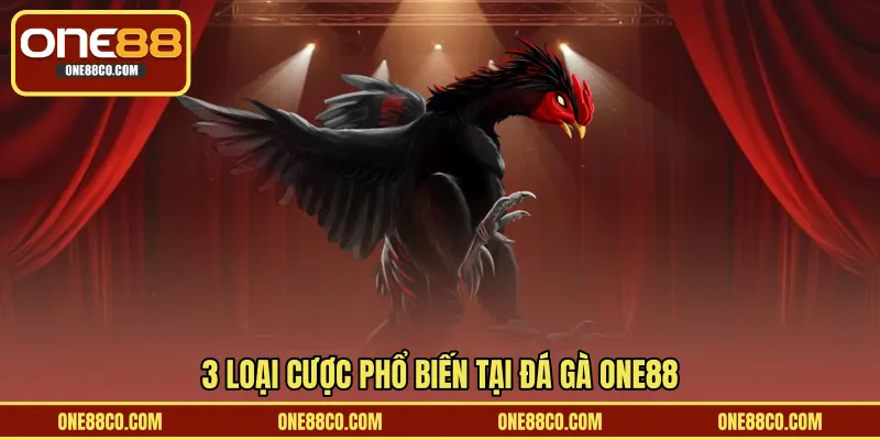 3 loại cược phổ biến tại đá gà ONE88