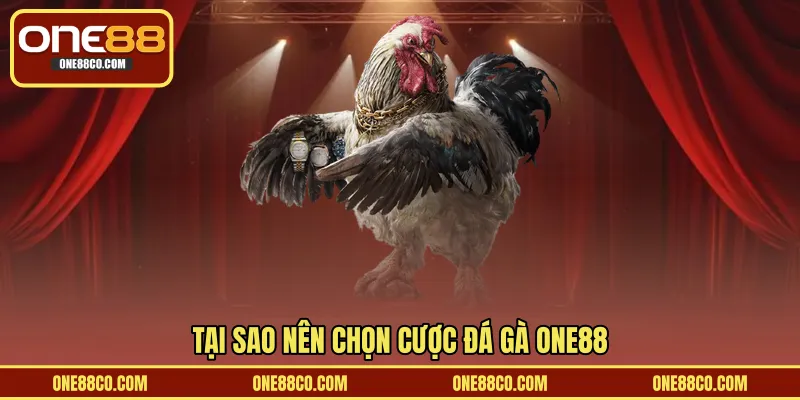 Tại sao nên chọn cược đá gà ONE88