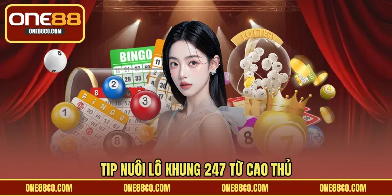 Tip nuôi lô khung 247 từ cao thủ